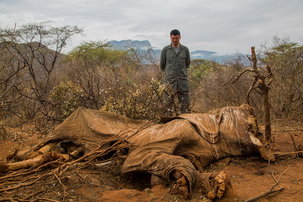 Yao Ming in anti-poaching campaign in Africa