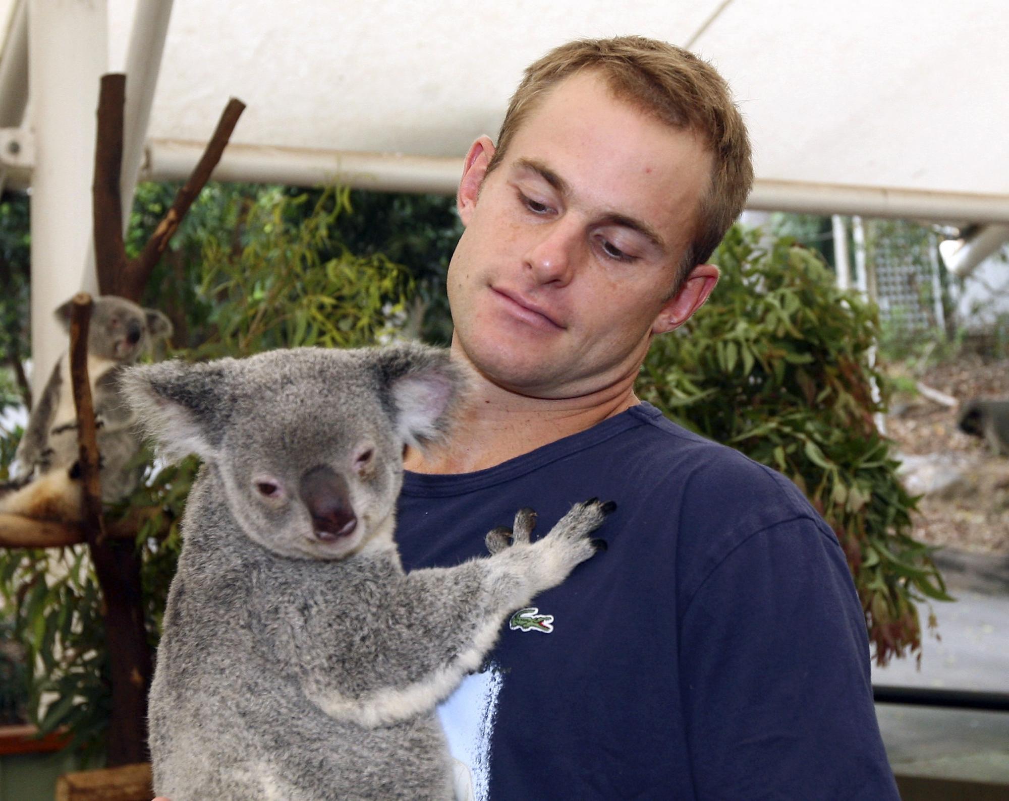 Roddick has fun with animals on tournament sideline