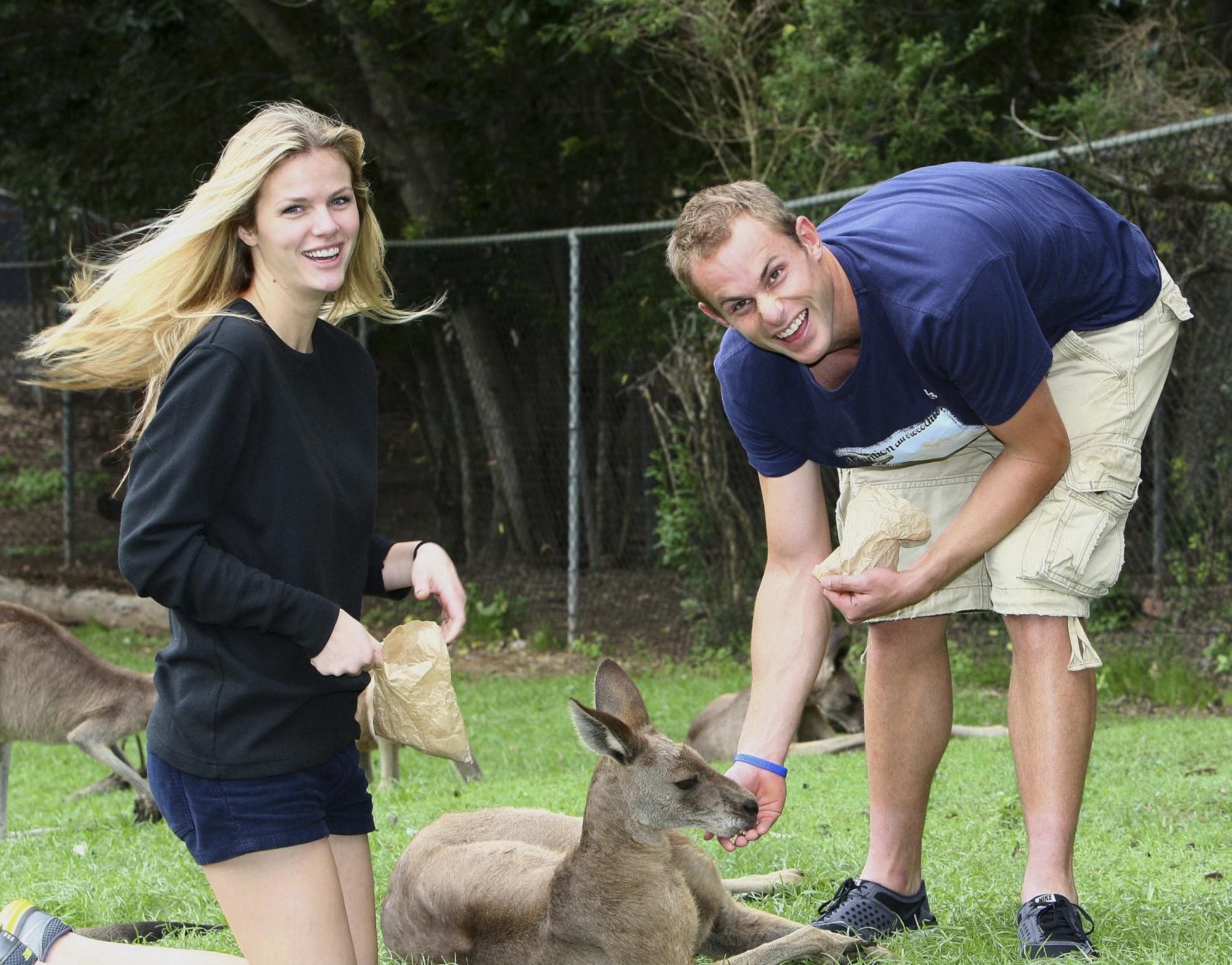 Roddick has fun with animals on tournament sideline