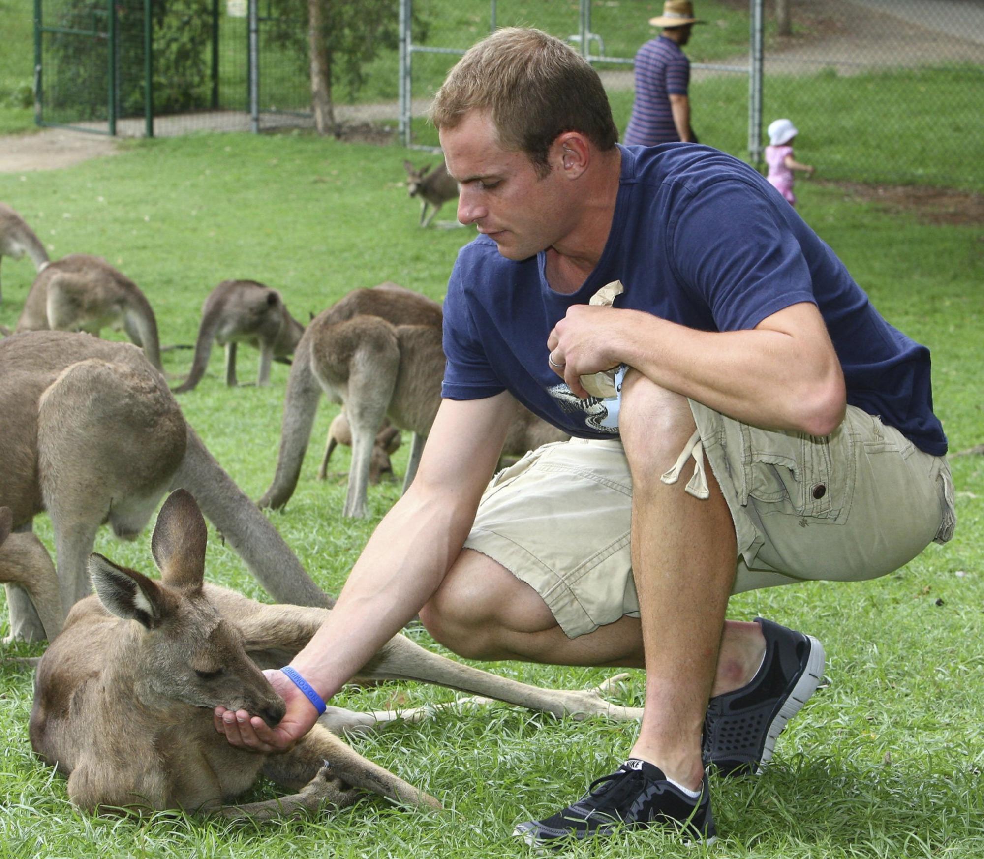 Roddick has fun with animals on tournament sideline