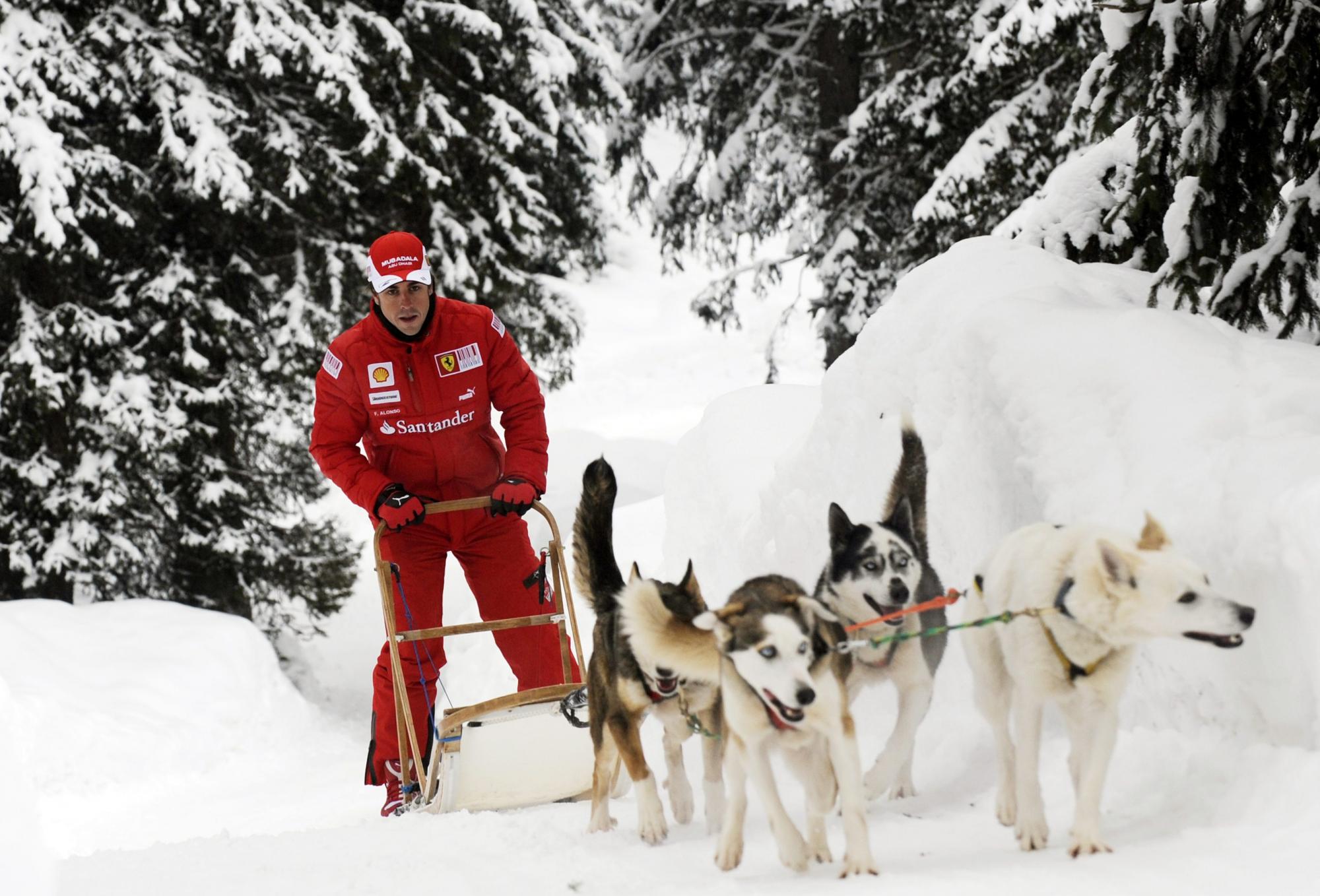 F1 drivers in dog-engine 'car'