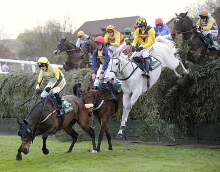 Steeplechase at the Grand National Meeting in UK