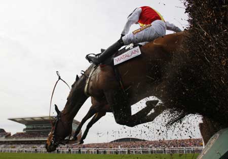 Steeplechase at the Grand National Meeting in UK