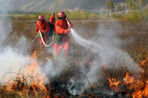 Firefighters combat big fire in NE China