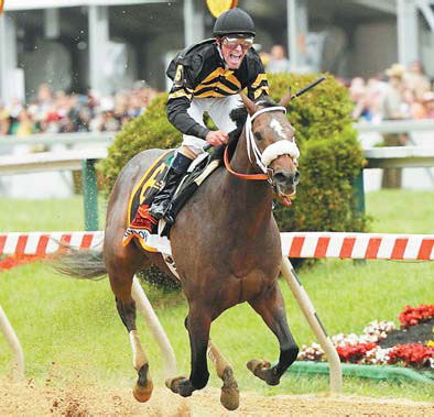 Oxbow wins Preakness Stakes