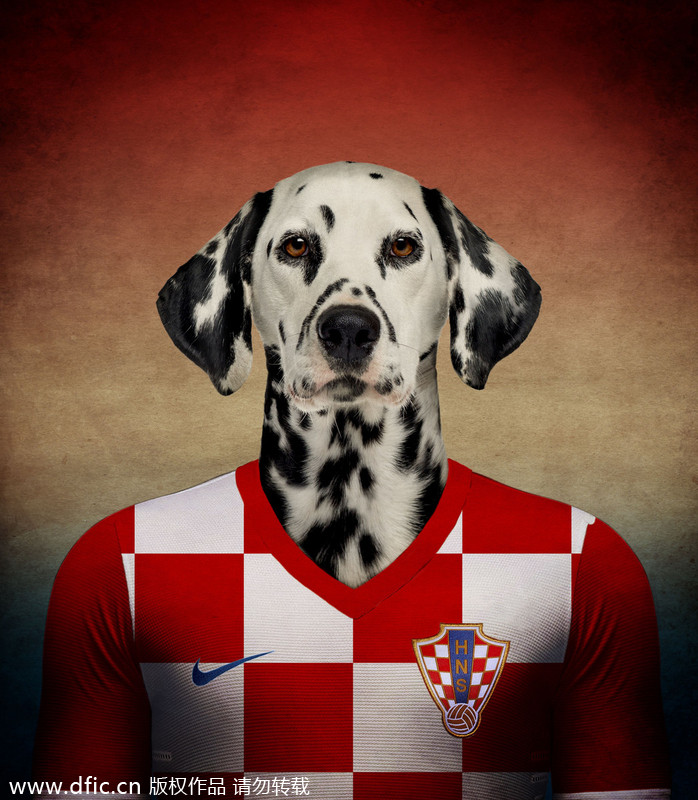 Dogs in national football team jerseys