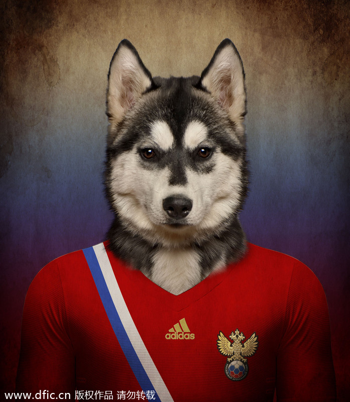 Dogs in national football team jerseys