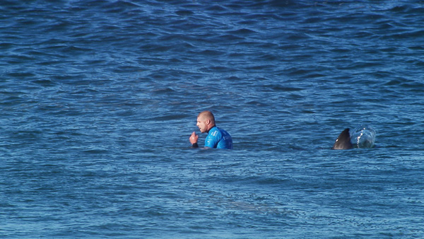 Aussie surfer vows to surf again after shark attack