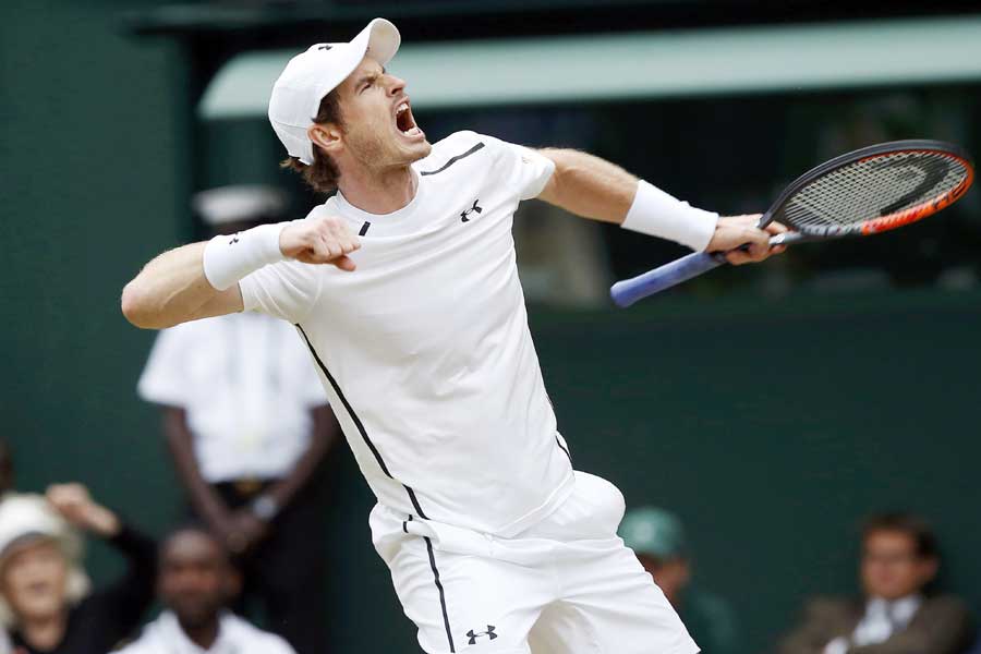 Wimbledon: Federer, Murray reach semi-finals