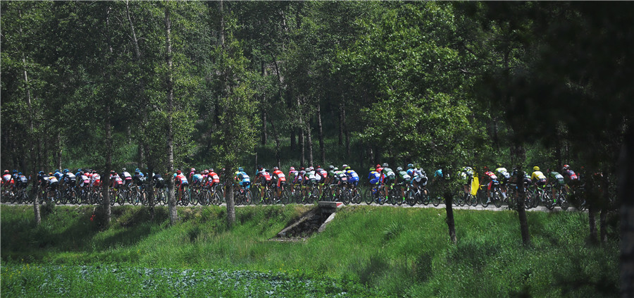 Tour of Qinghai Lake: Italian cyclist pedals to victory in stage 2