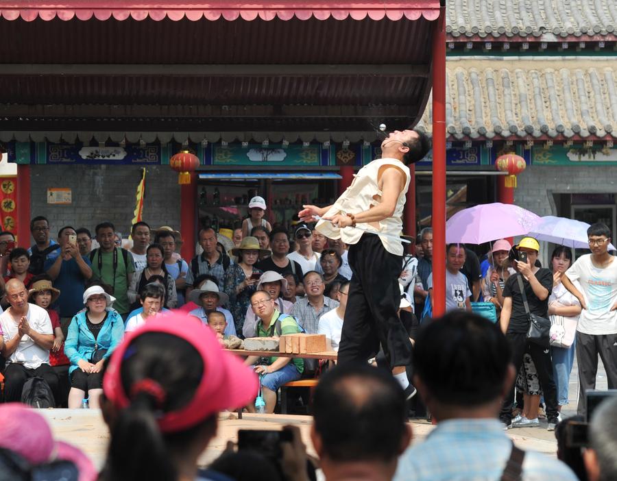 Acrobatic school in Hebei builds global cultural exchange