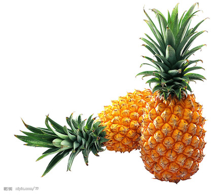 Pineapple