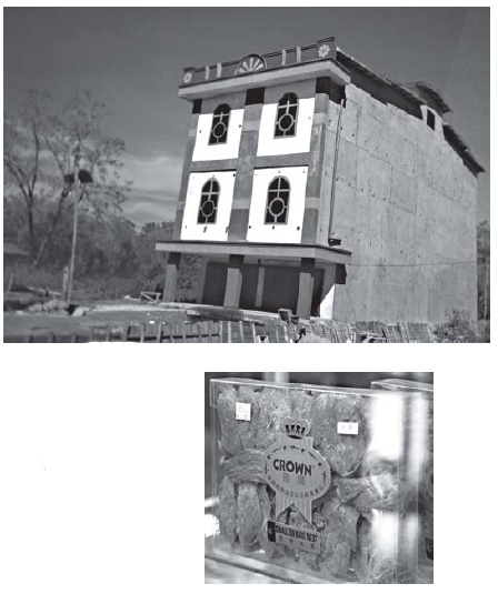A housing boom, if you are a bird