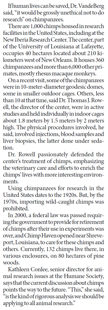 The U.S. might ban chimps in invasive medical testing