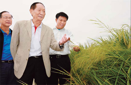 Paddy papa going strong