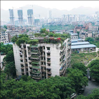 Country in City