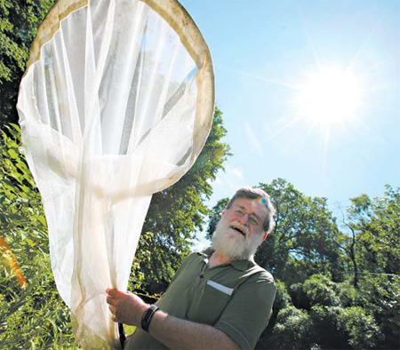 It's no simple affair when dragonflies meet