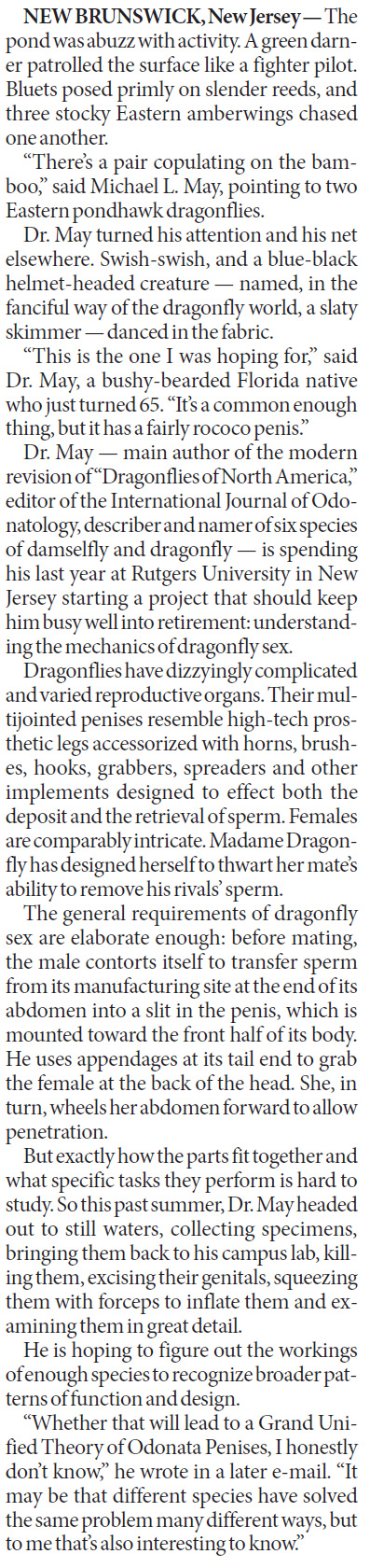 It's no simple affair when dragonflies meet