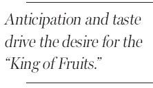 100 days of madness for mangoes