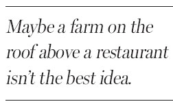 The limits of going local