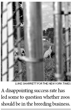 Racing to breed species in zoos