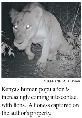 For lions, human contact a killer