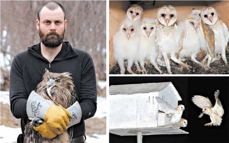 Scientists unraveling the mysteries of owls
