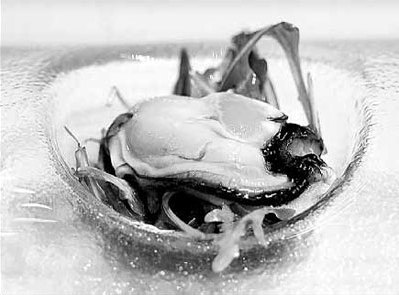 Oysters make spring sing for diners in Beijing