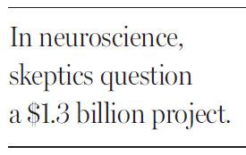 An effort to build a virtual brain