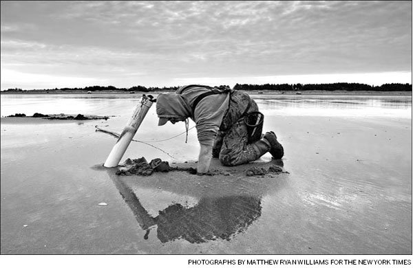 The life of a clammer: wet, nasty and brutish