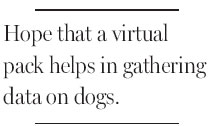 Using Web to study dogs' minds
