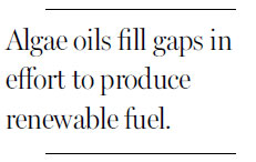 Detours on road to clean fuel