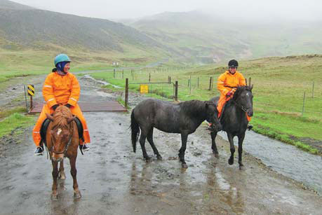 From horses to hot spa