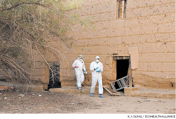 A viral mystery draws scientific detectives