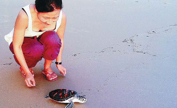 Finding turtle heaven in Thailand