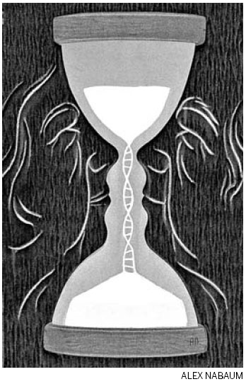 Hunt for aging's true signs