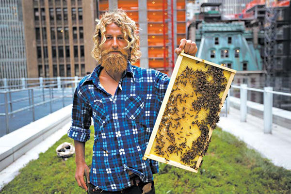 Rooftop bees help keep a city green