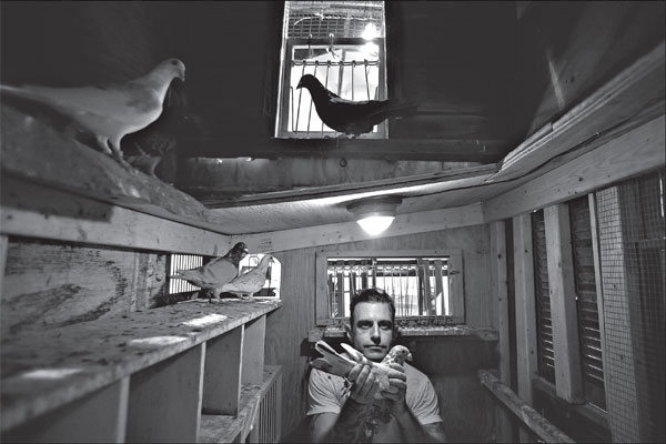 Avian artistry, Cuban cigars