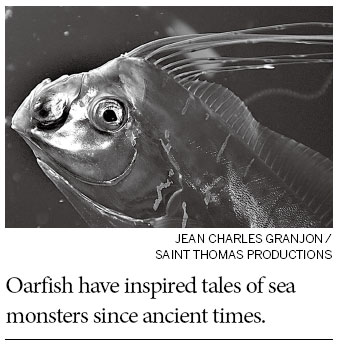 A rare look at a little-known big fish