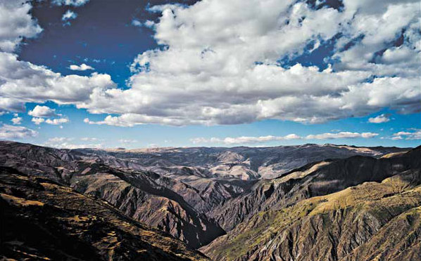 In habitats in the Andes, evolution is fast