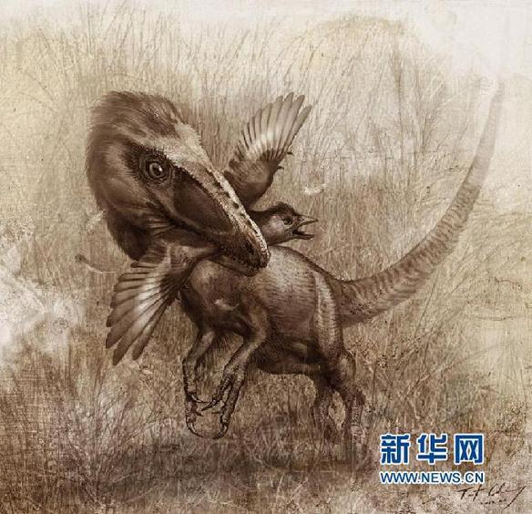 科学家首次揭秘带羽毛恐龙的“最后晚餐”(图)