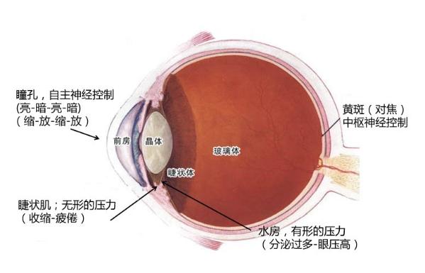 明基不闪屏关爱儿童眼部健康 这个儿童节把“爱”带走