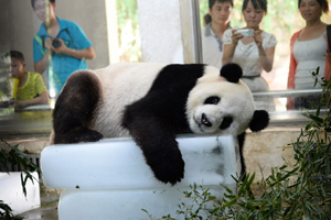 专家辟谣:雷雨天打手机并不能吸引雷电