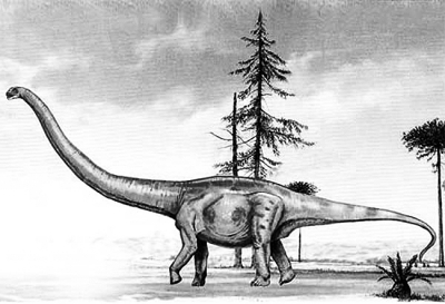 我国最大侏罗纪恐龙命名为“鄯善新疆巨龙”