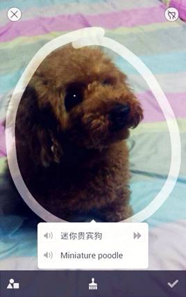 百度翻译iOS 4.0发布，实物翻译命中率超八成