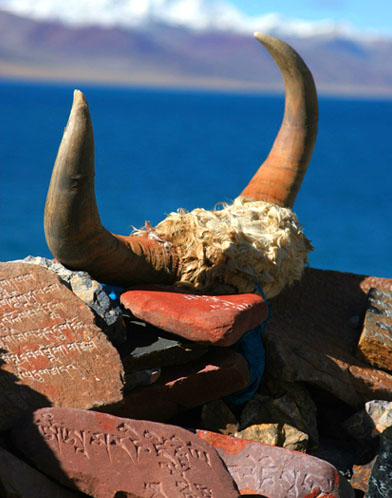 Lake worship with cow horns