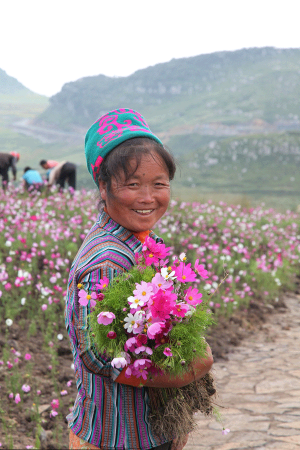 Flower sea in the 'Coolest City'