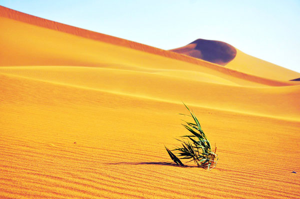 China Panoramic photo series--Ejina Banner in Inner Mongolia