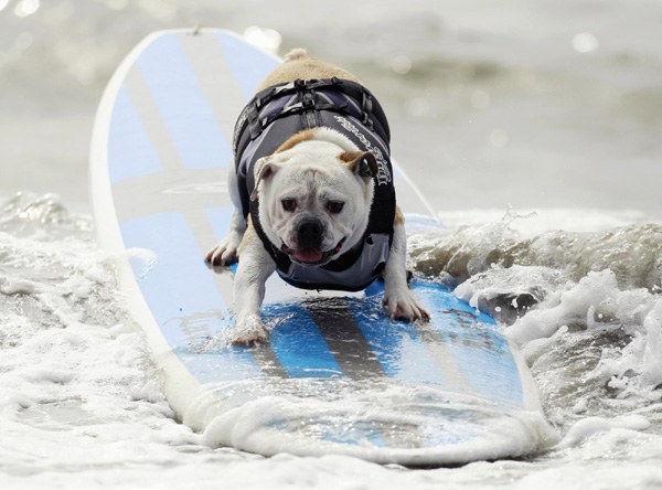 Pups take the waves