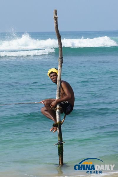Sri Lanka: Stilt Fishing